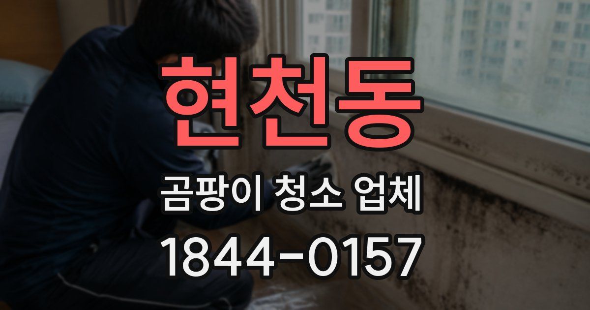 현천동 곰팡이 청소 업체
