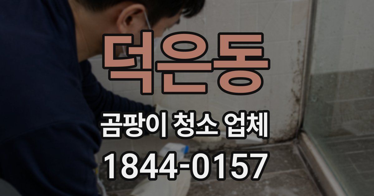 덕은동 곰팡이 청소 업체