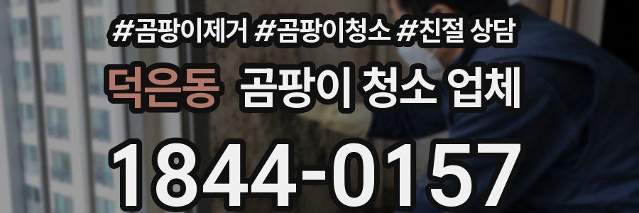 덕은동 곰팡이 청소 업체