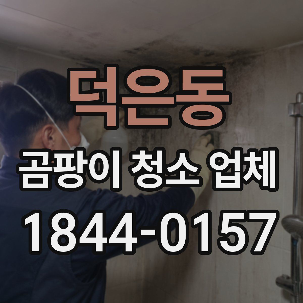 덕은동 곰팡이 청소 업체