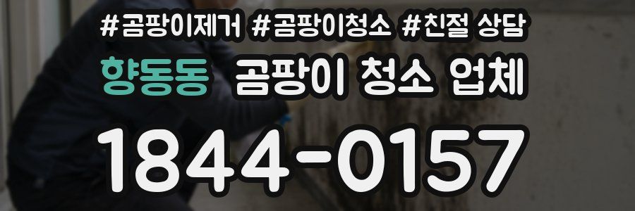 향동동 곰팡이 청소 업체