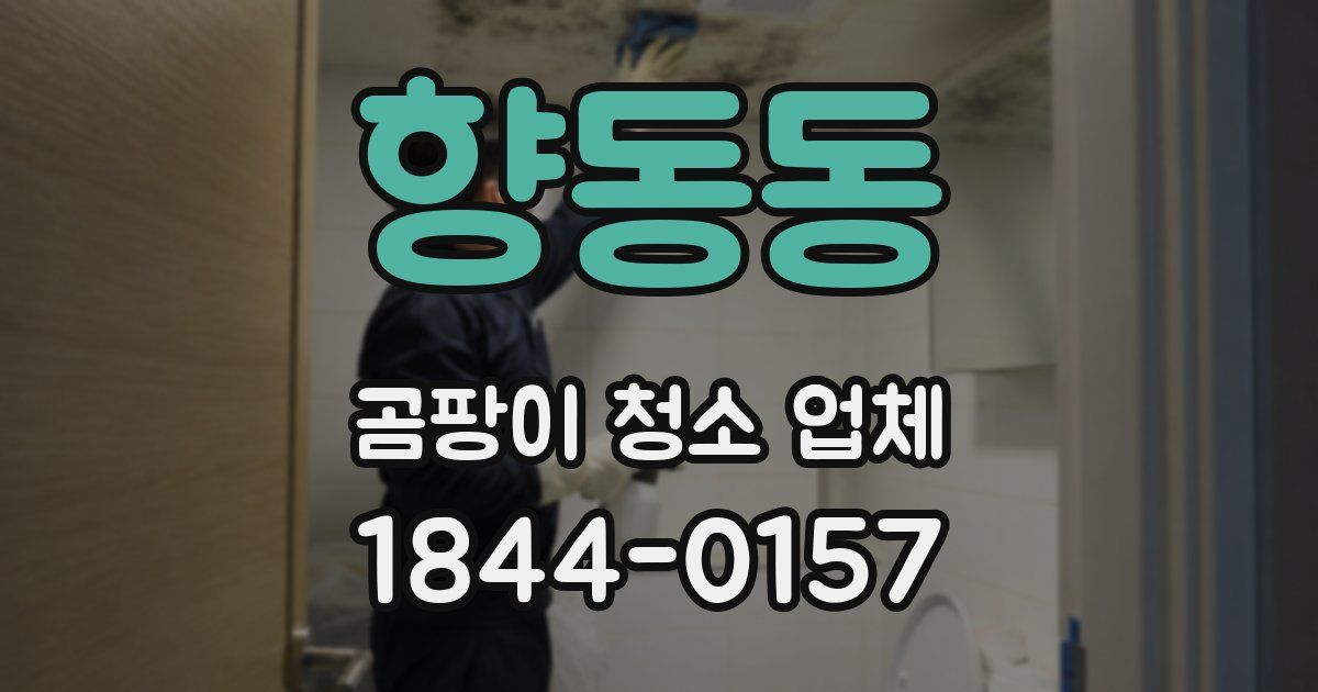 향동동 곰팡이 청소 업체