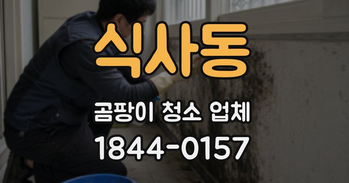 식사동 곰팡이 청소 업체