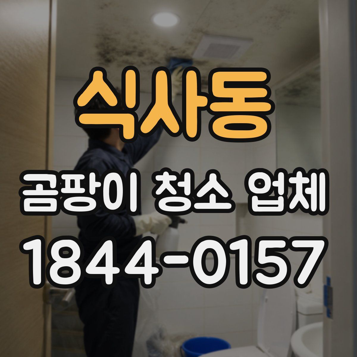 식사동 곰팡이 청소 업체