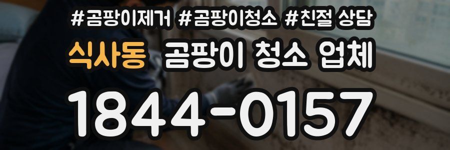 식사동 곰팡이 청소 업체
