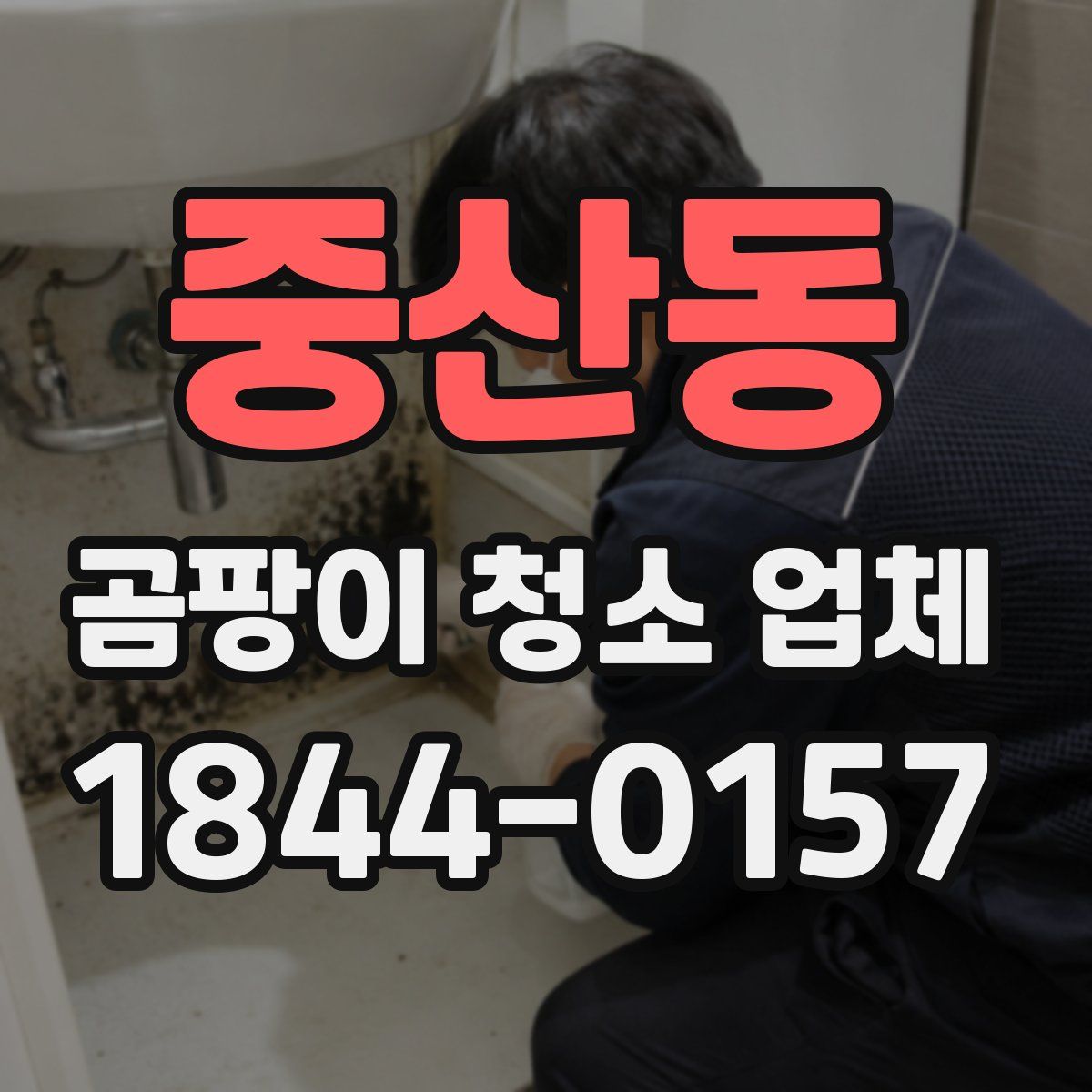 중산동 곰팡이 청소 업체