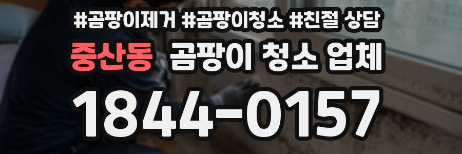 중산동 곰팡이 청소 업체
