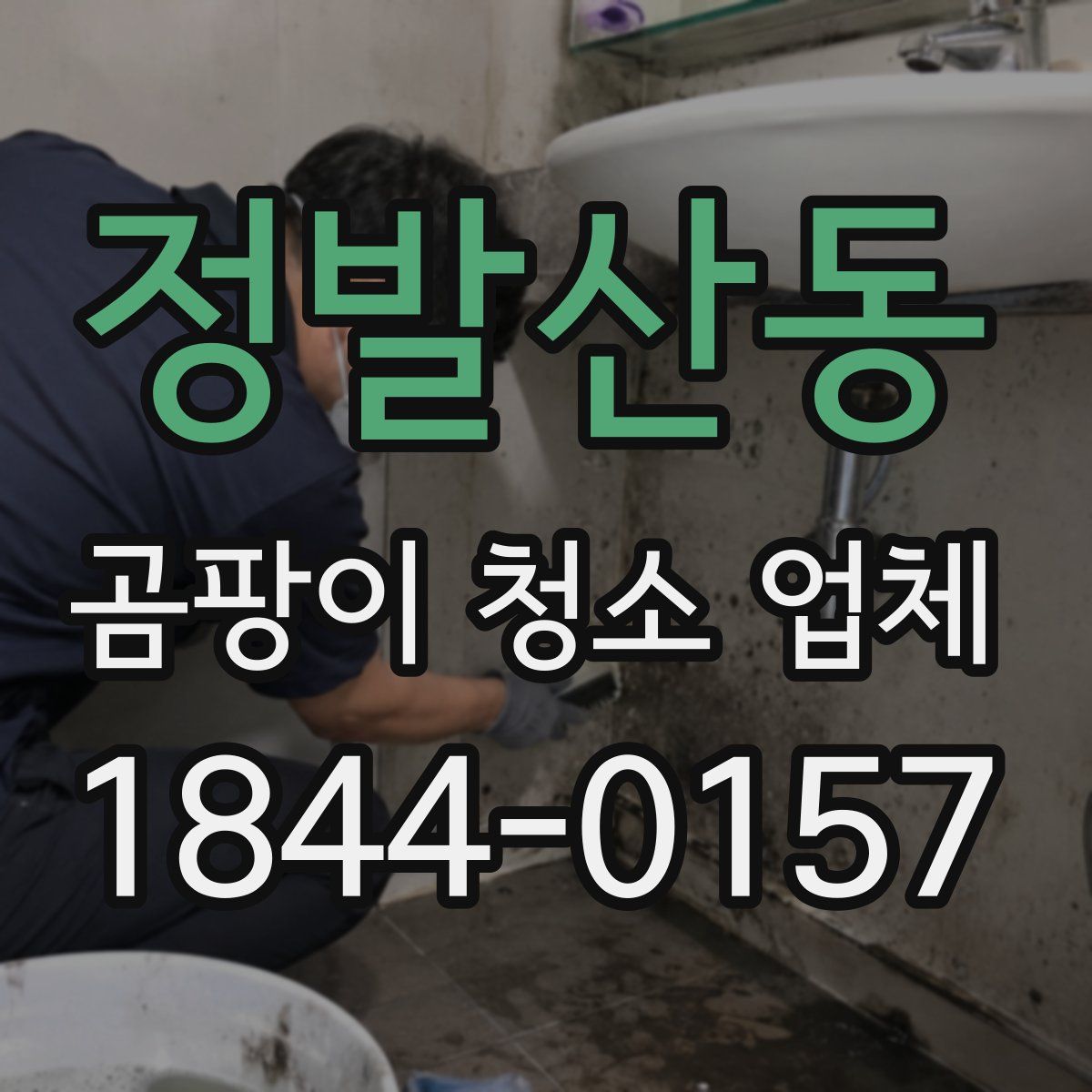 정발산동 곰팡이 청소 업체