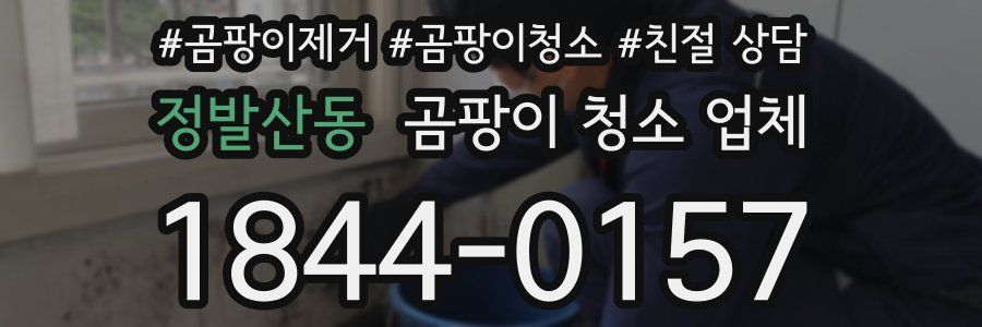 정발산동 곰팡이 청소 업체