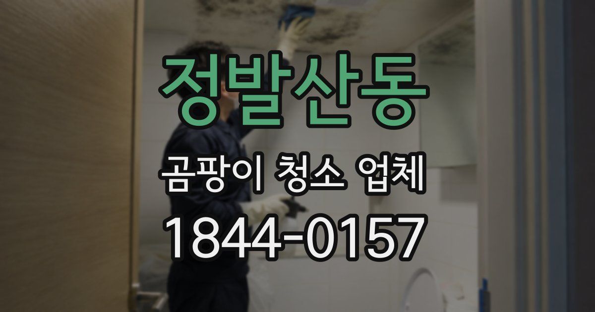 정발산동 곰팡이 청소 업체