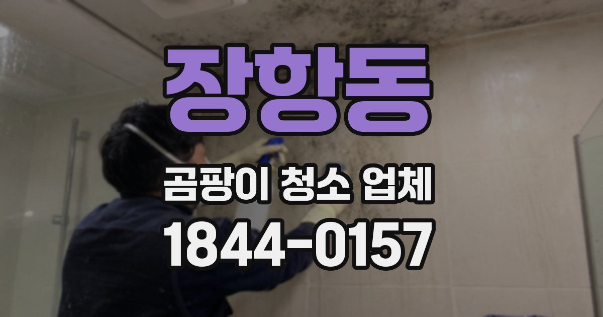 장항동 곰팡이 청소 업체