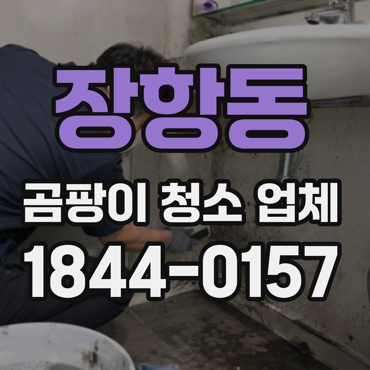 장항동 곰팡이 청소 업체