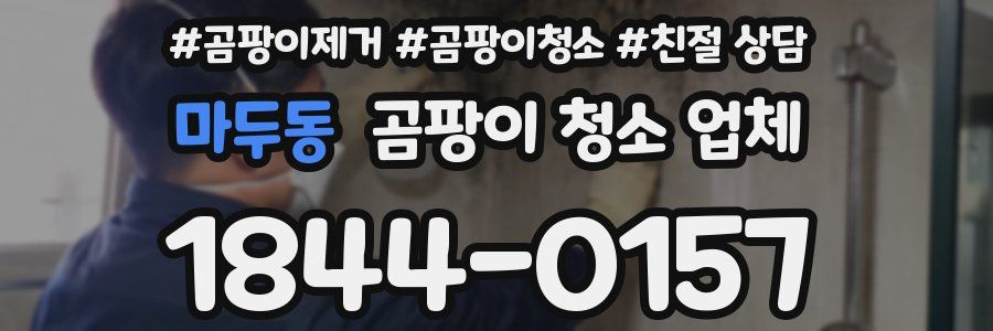 마두동 곰팡이 청소 업체