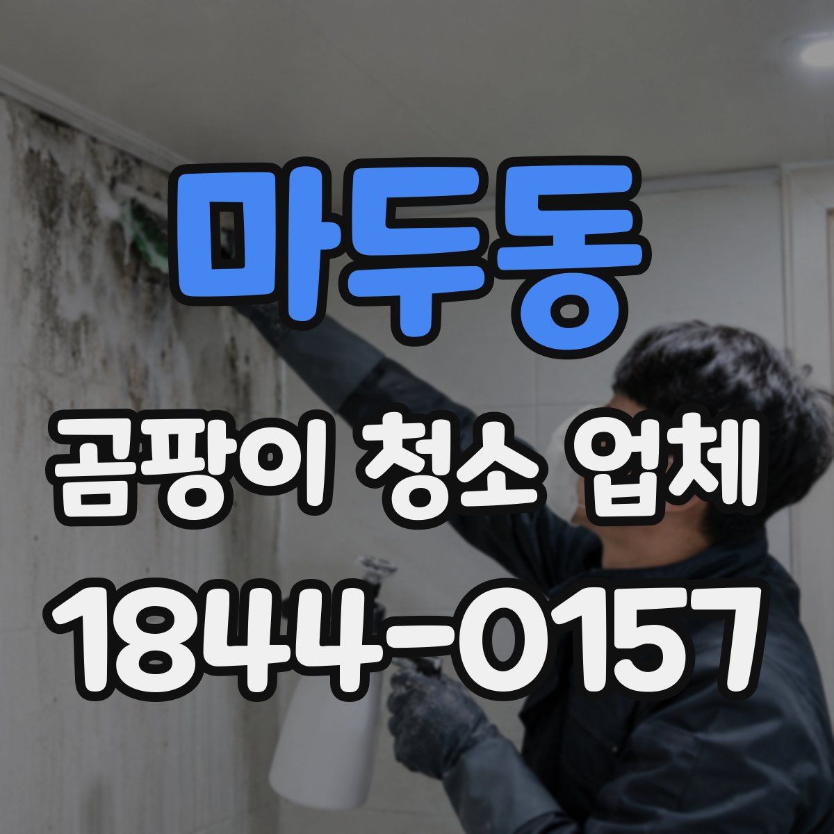 마두동 곰팡이 청소 업체
