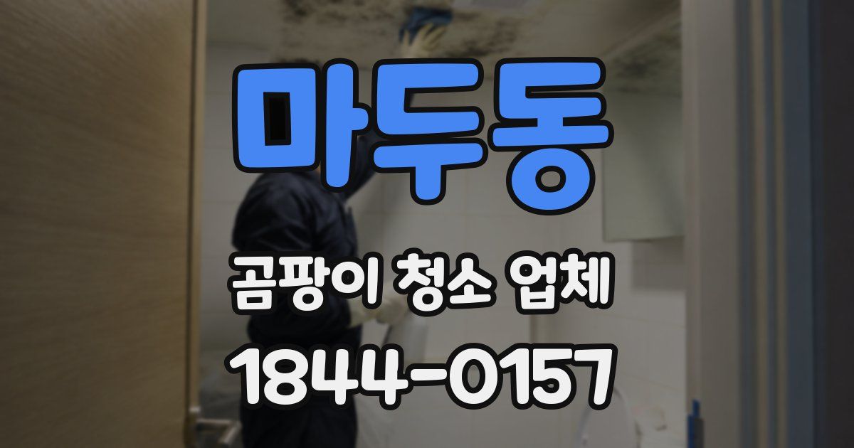 마두동 곰팡이 청소 업체