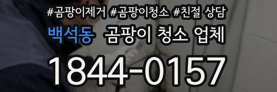 백석동 곰팡이 청소 업체