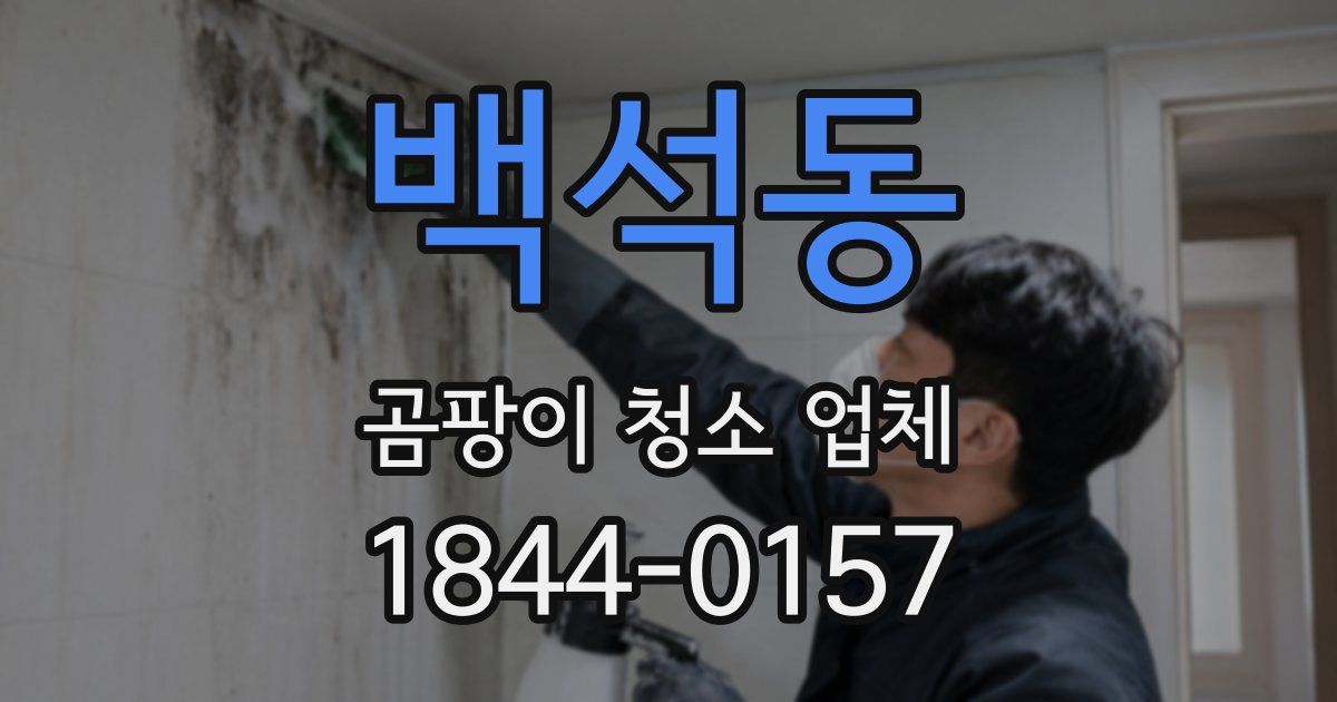 백석동 곰팡이 청소 업체