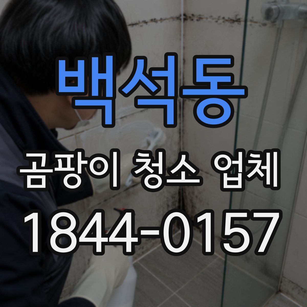 백석동 곰팡이 청소 업체