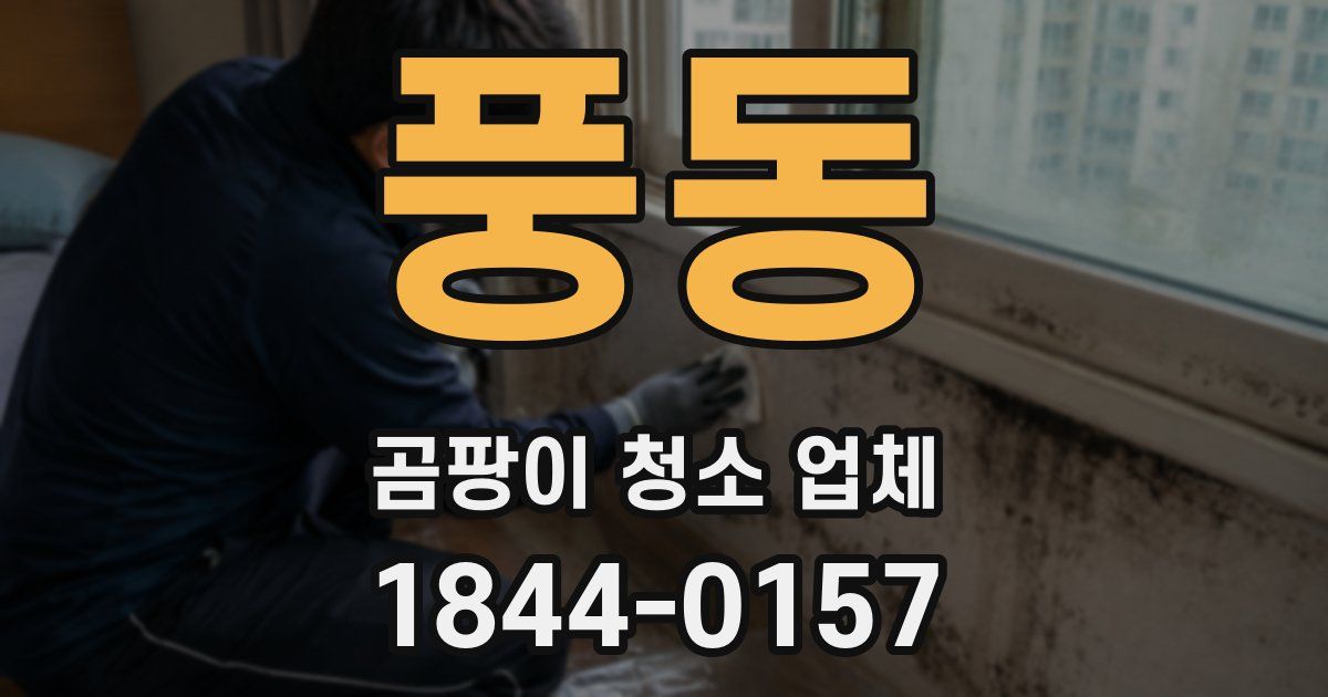풍동 곰팡이 청소 업체