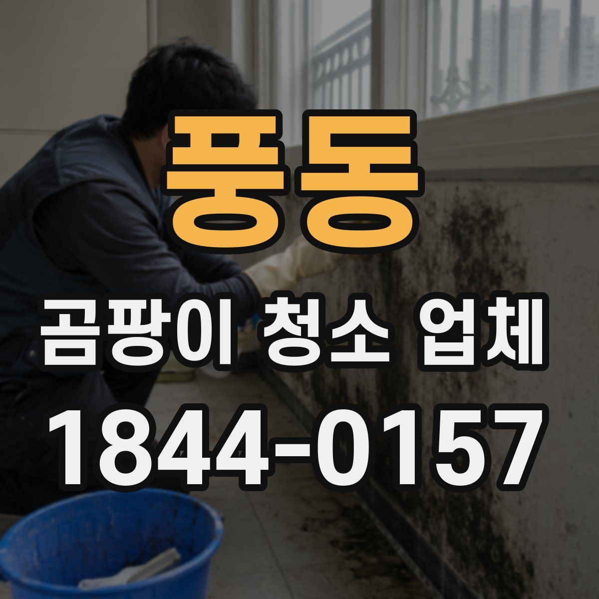 풍동 곰팡이 청소 업체