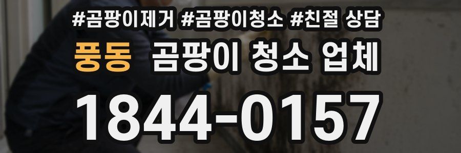 풍동 곰팡이 청소 업체