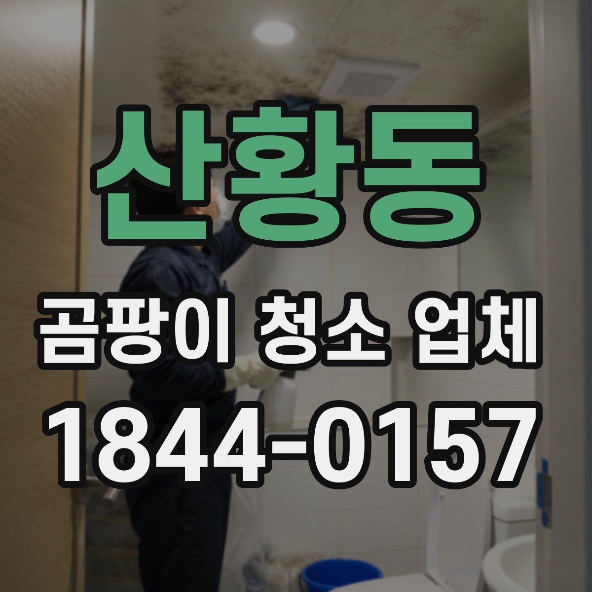 산황동 곰팡이 청소 업체 문의가 많은 계절과 이유