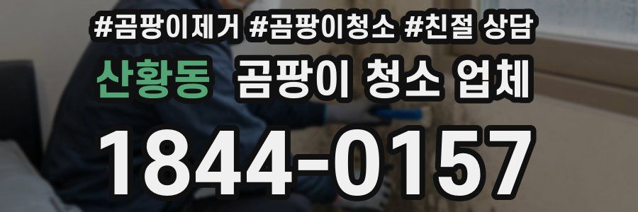 산황동 곰팡이 청소 업체