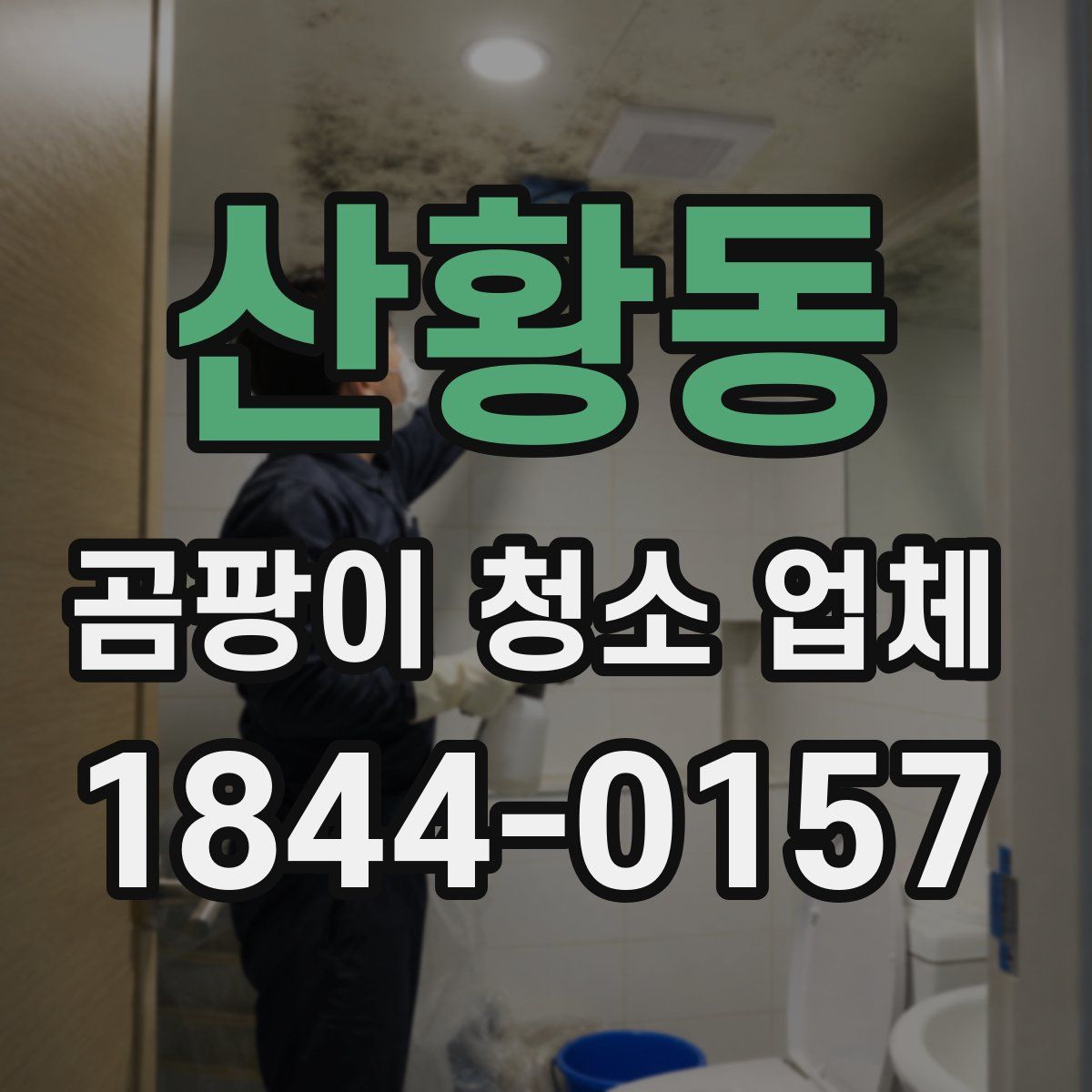 산황동 곰팡이 청소 업체
