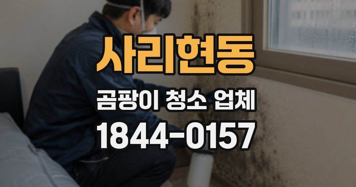 사리현동 곰팡이 청소 업체