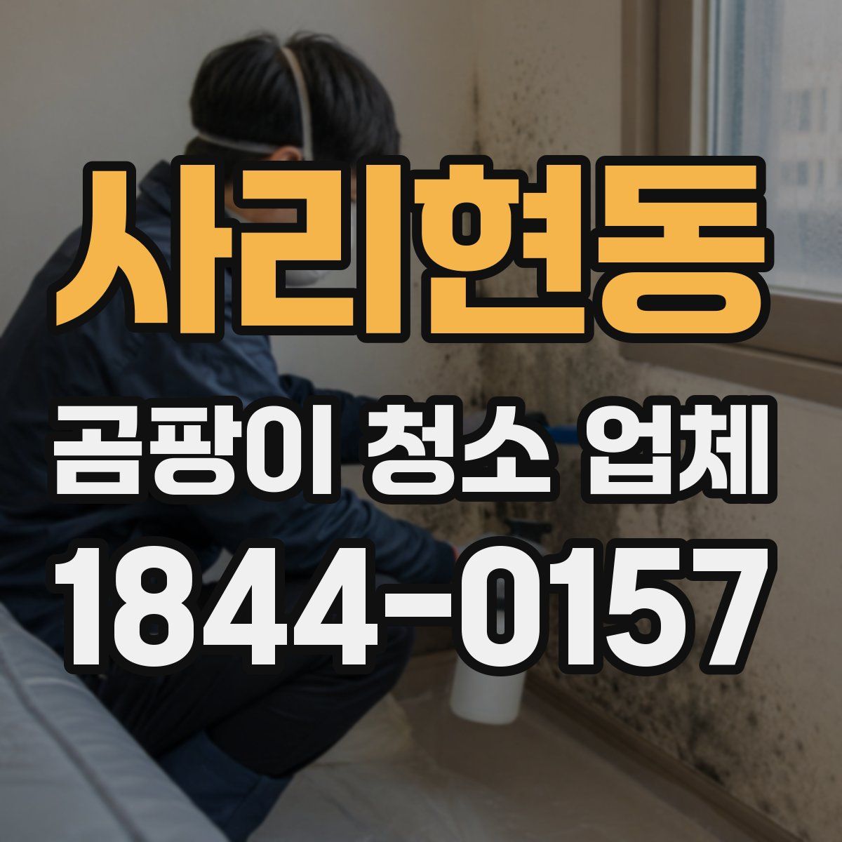 사리현동 곰팡이 청소 업체