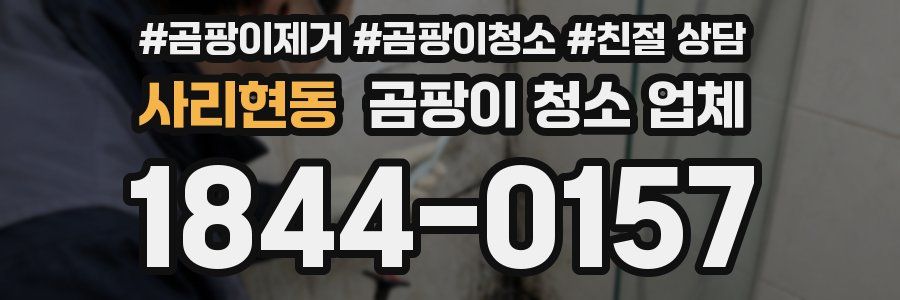 사리현동 곰팡이 청소 업체