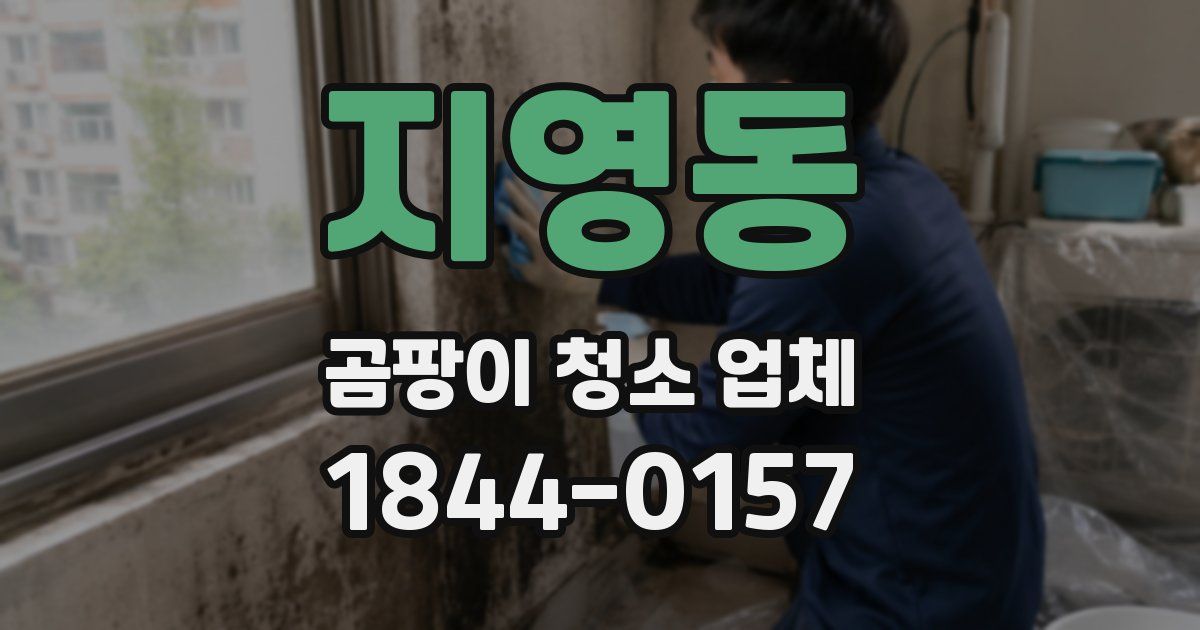 지영동 곰팡이 청소 업체