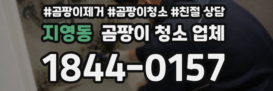 지영동 곰팡이 청소 업체