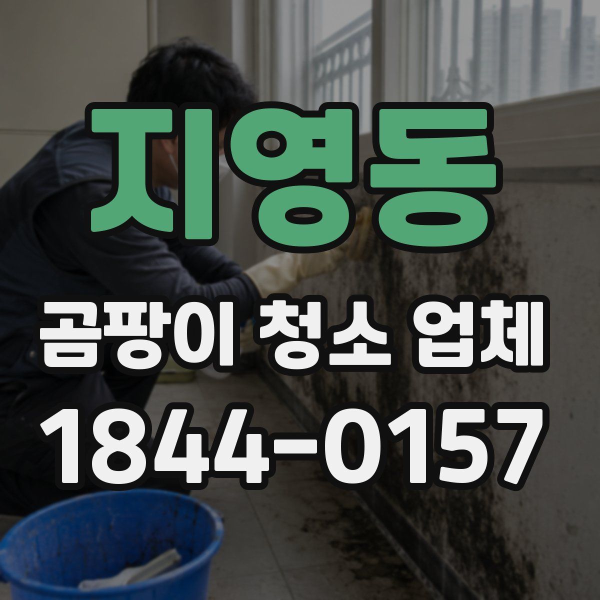 지영동 곰팡이 청소 업체
