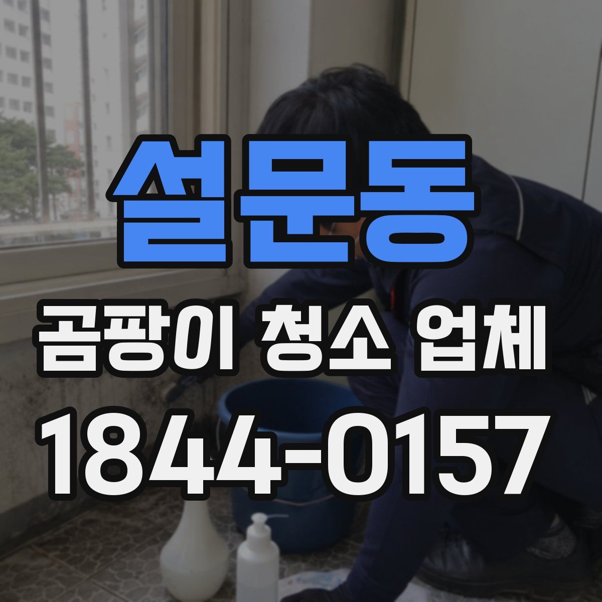 설문동 곰팡이 청소 업체