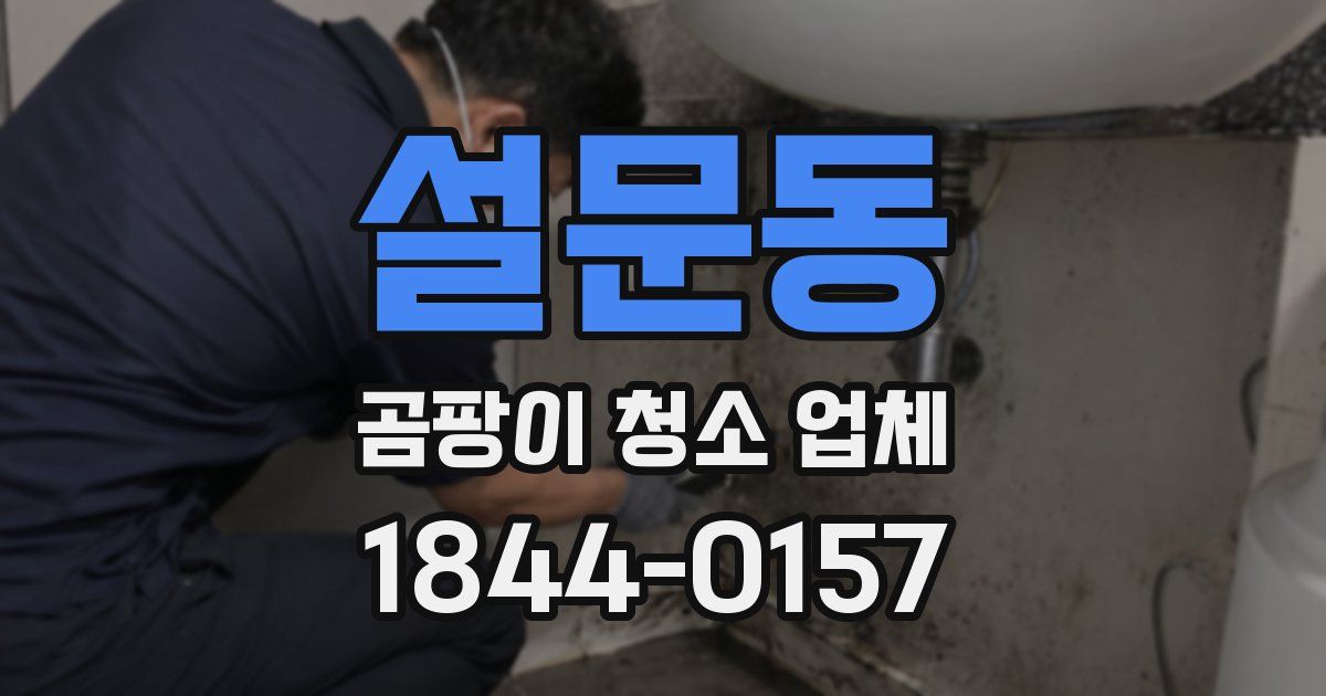 설문동 곰팡이 청소 업체