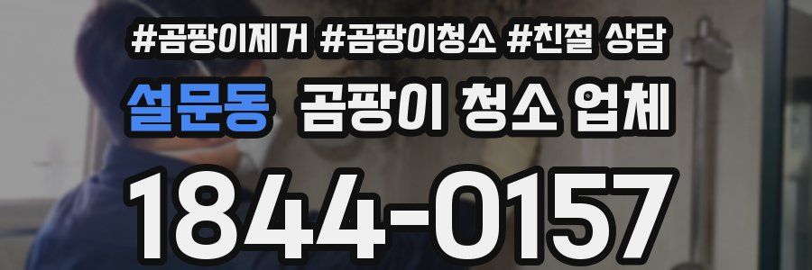 설문동 곰팡이 청소 업체