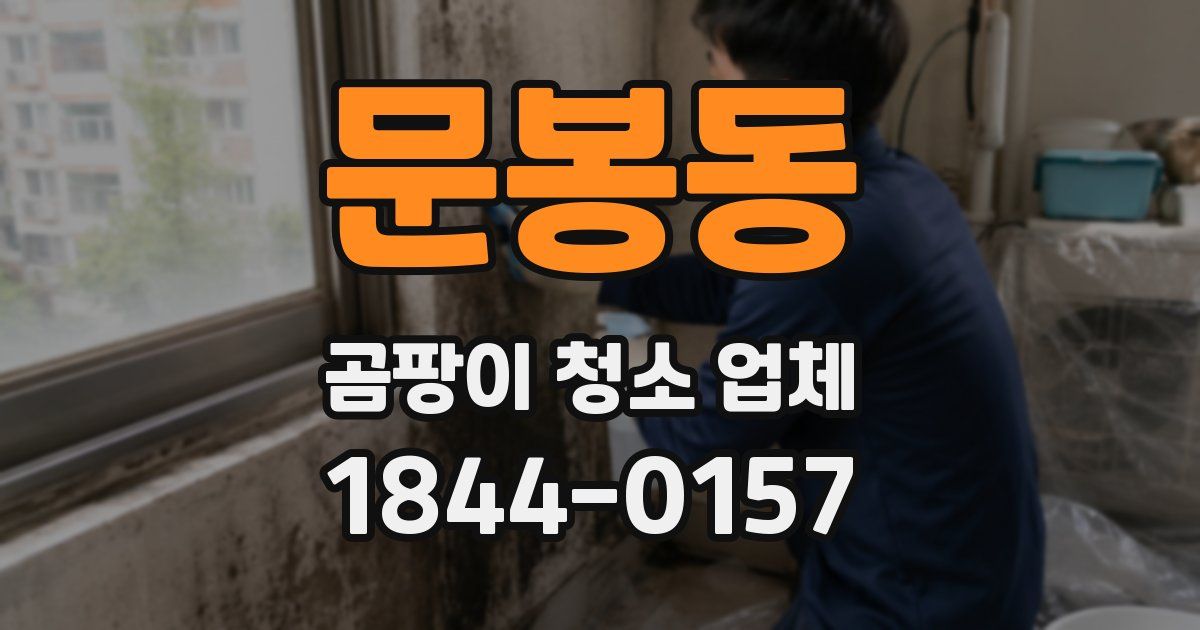 문봉동 곰팡이 청소 업체