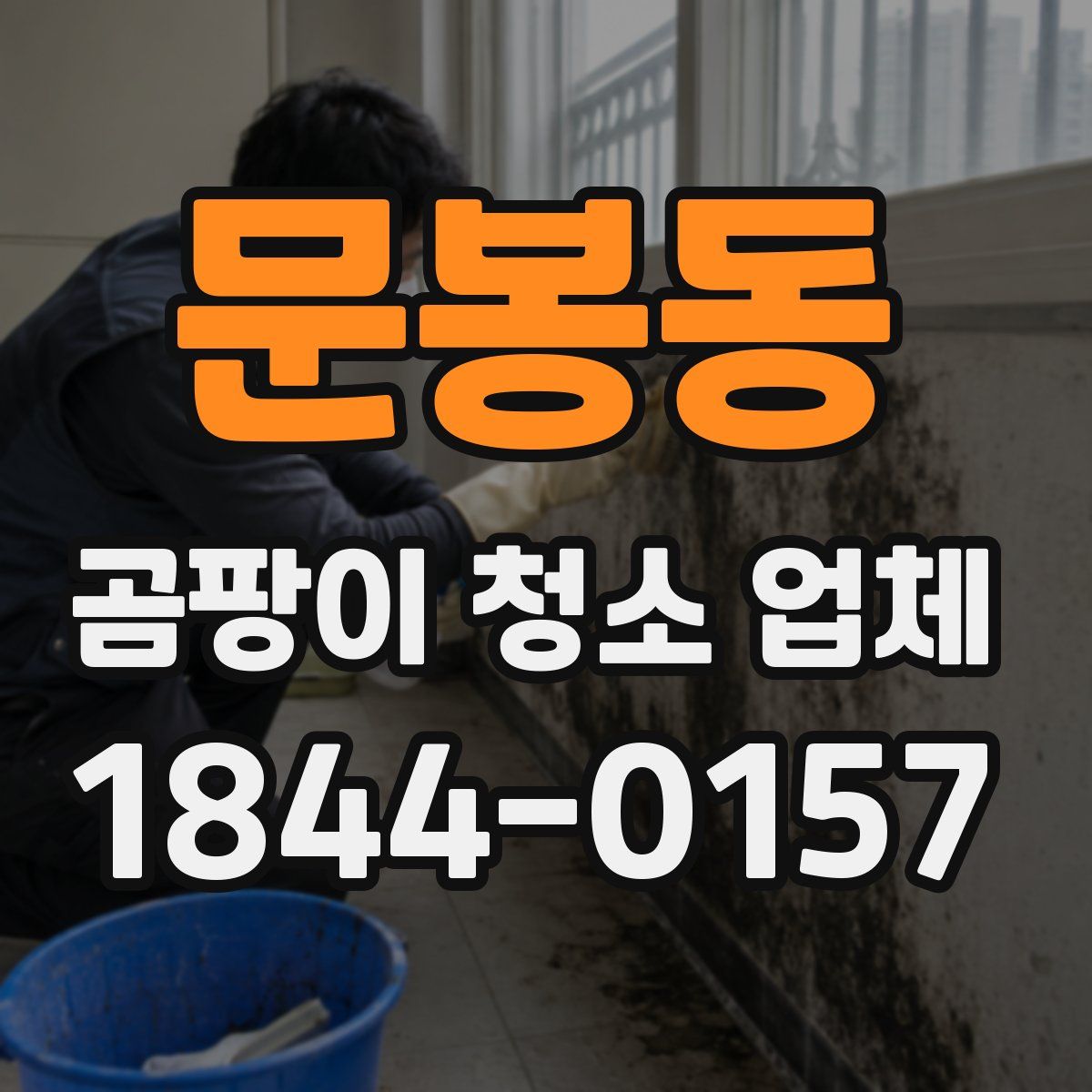 문봉동 곰팡이 청소 업체