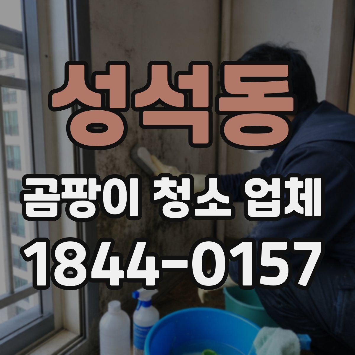 성석동 곰팡이 청소 업체 견적이 달라지는 조건들