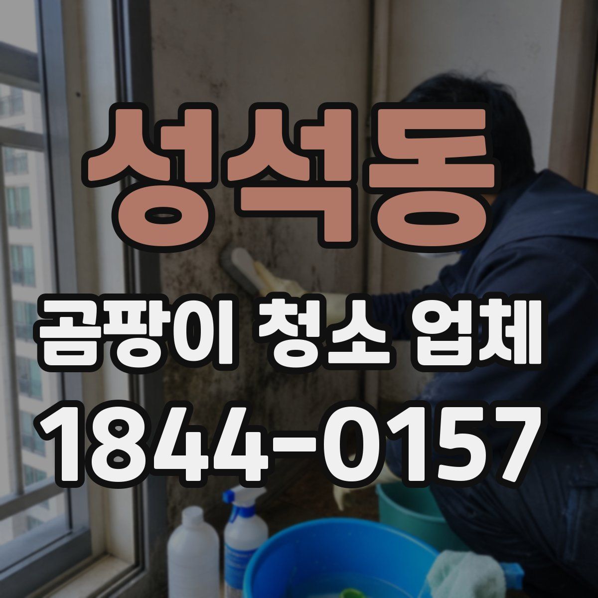 성석동 곰팡이 청소 업체