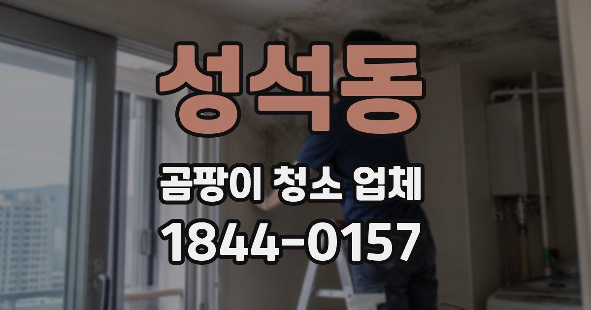 성석동 곰팡이 청소 업체