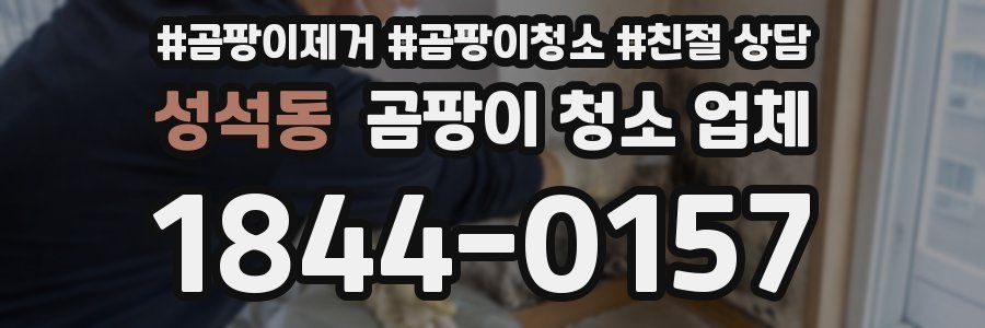 성석동 곰팡이 청소 업체
