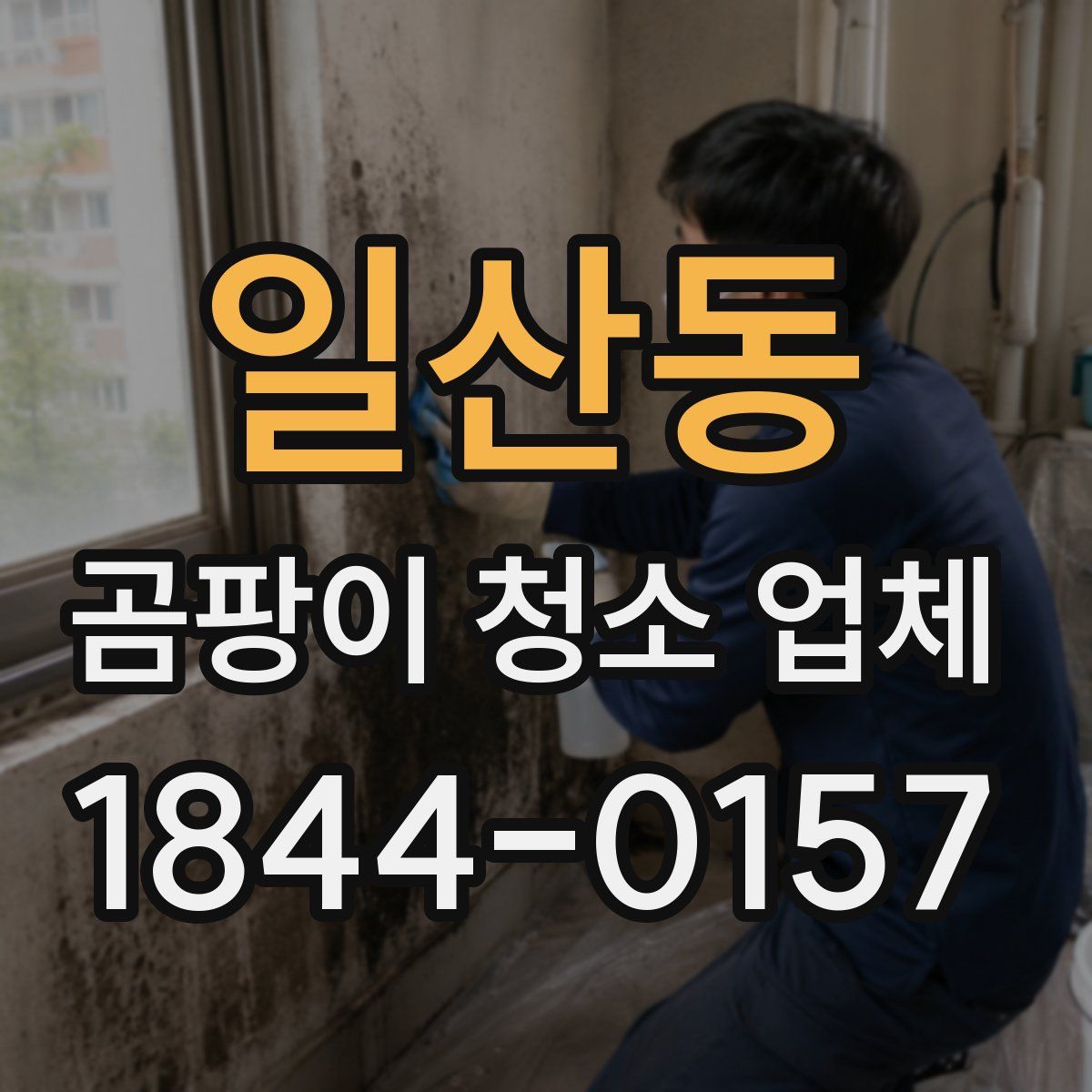 일산동 곰팡이 청소 업체