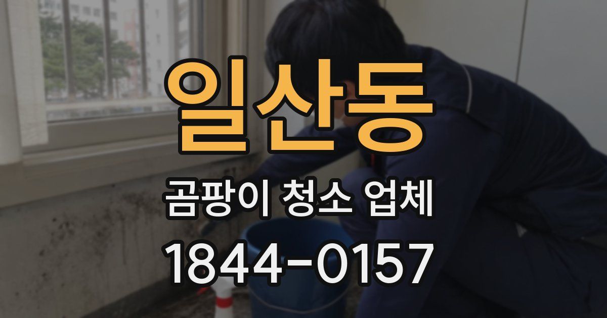 일산동 곰팡이 청소 업체