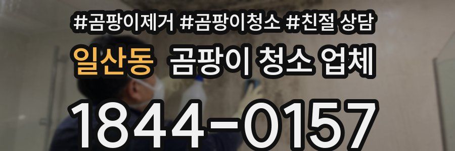 일산동 곰팡이 청소 업체
