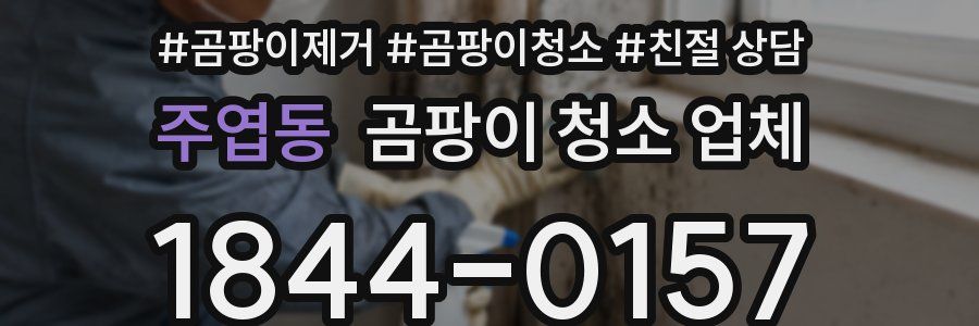 주엽동 곰팡이 청소 업체