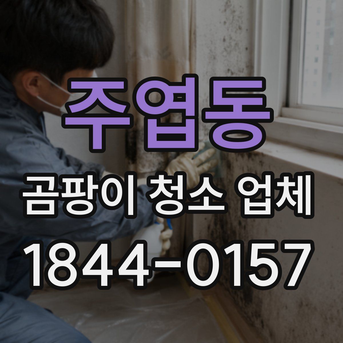 주엽동 곰팡이 청소 업체