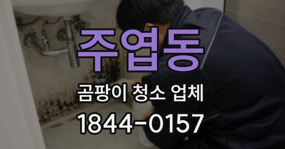 주엽동 곰팡이 청소 업체