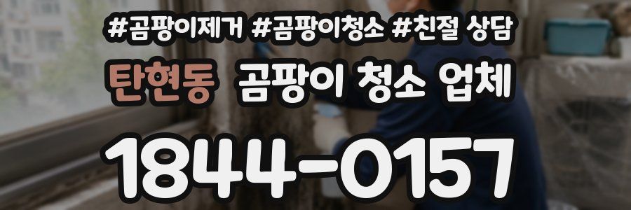 탄현동 곰팡이 청소 업체